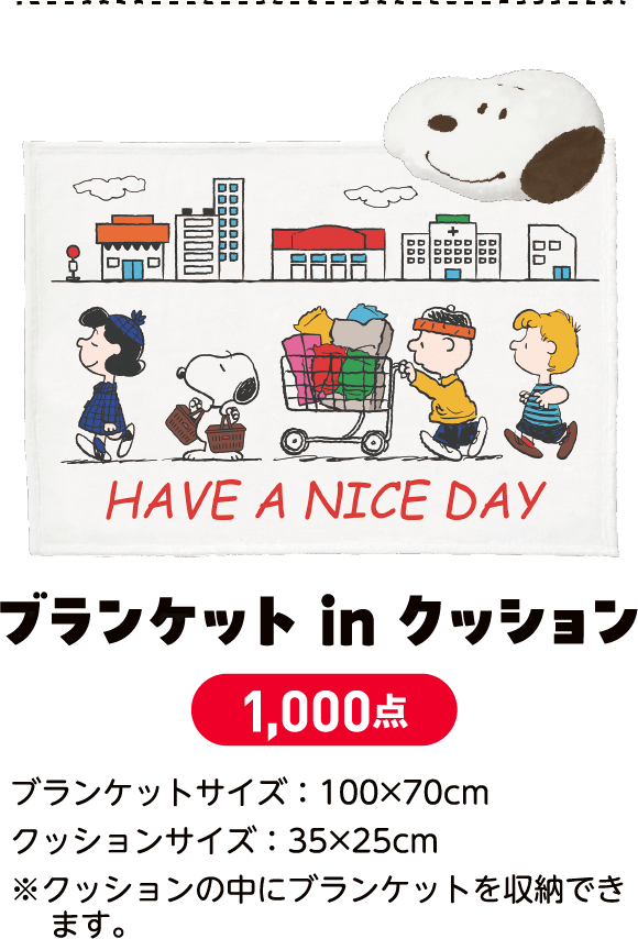 ブランケットin クッション 1,000点 ブランケットサイズ：100×70cm クッションサイズ：35×25cm